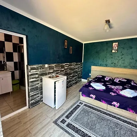 Guest house Pensiunea Bianca