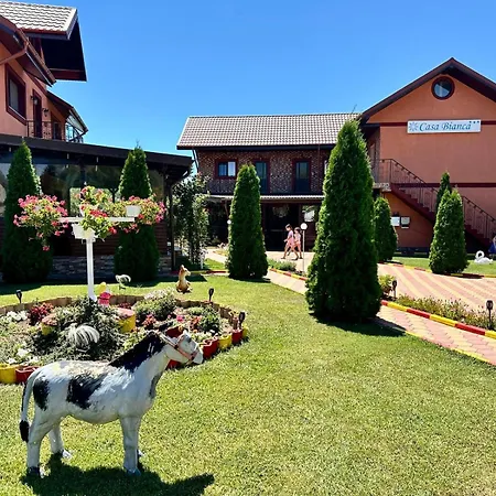 Pensiunea Bianca 3* Corbu (Constanta)