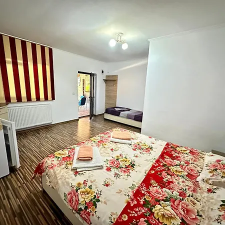 Guest house Pensiunea Bianca *
