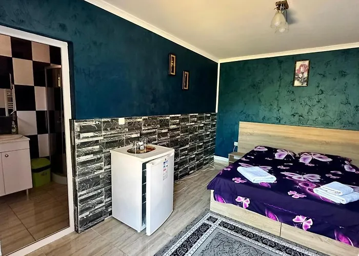 Gasthuis Pensiunea Bianca