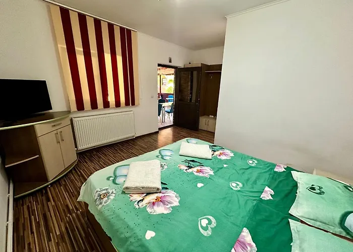 Pensiunea Bianca Gasthuis