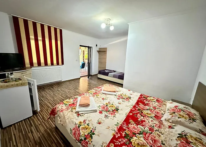 Gasthuis Pensiunea Bianca 3*